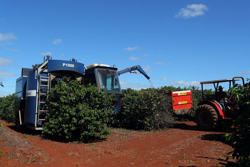 &copy; Reuters. Máquina avança em colheita de café em uma plantação na cidade de São João da Boa Vista