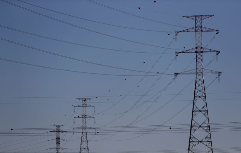 &copy; Reuters. Electric power cables are seen near an Energias de Portugal (EDP) power plant on the outskirts of Carregado