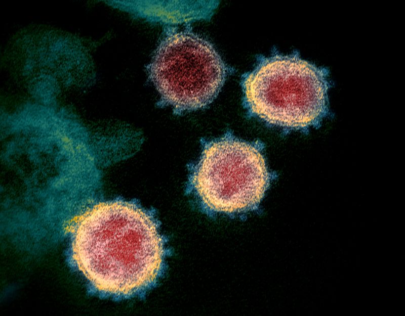 &copy; Reuters. 米イノビオ、コロナワクチン中期治験開始へ