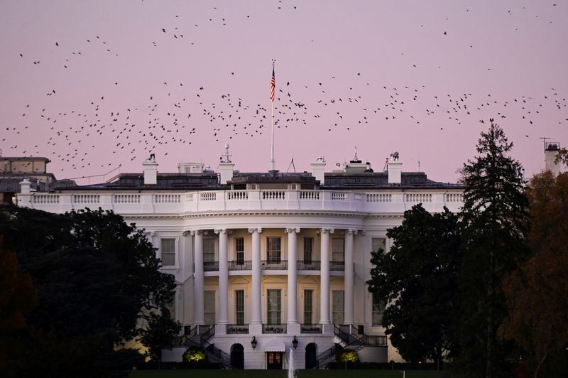 &copy; Reuters. Birds fly over the White House at dusk, the day after a presidential election victory was called for former Vice President Joe Biden, in Washington