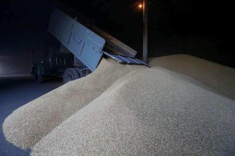 &copy; Reuters. Driver unloads truck at grain store during barley harvesting in Kiev region