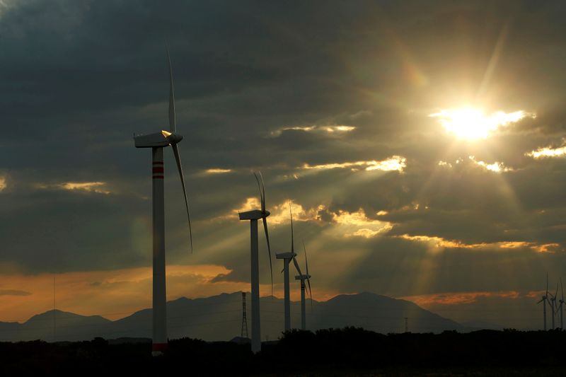 &copy; Reuters. FILE PHOTO: A general view of wind turbines in Union Hidalgo, Mexico