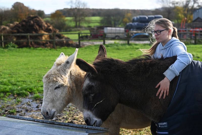 &copy; Reuters. Emily Trice relaxes as she connects with donkeys Milly and Max, during a visit to Future Roots in Sherborne