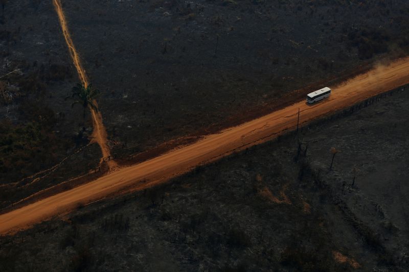 &copy; Reuters. LA CONSTRUCTION DE ROUTES EN AMAZONIE POURRAIT DÉTRUIRE DES MILLIONS D&apos;HECTARES DE FORÊTS, SELON UNE ÉTUDE