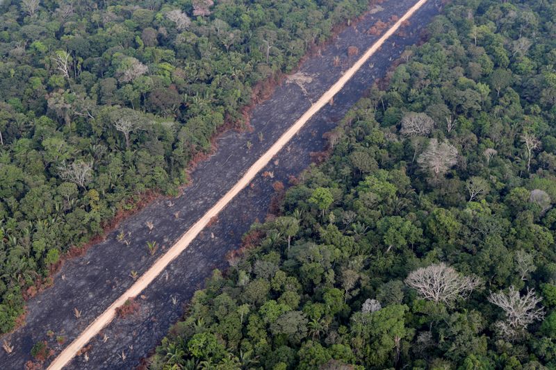 &copy; Reuters. Estrada em área desmatada da Amazônia perto de Porto Velho, em Rondônia