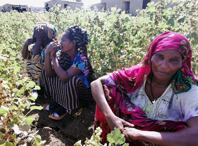 &copy; Reuters. الأمم المتحدة تقول إنها تتهيأ لوجود 200 ألف لاجئ إثيوبي في السودان