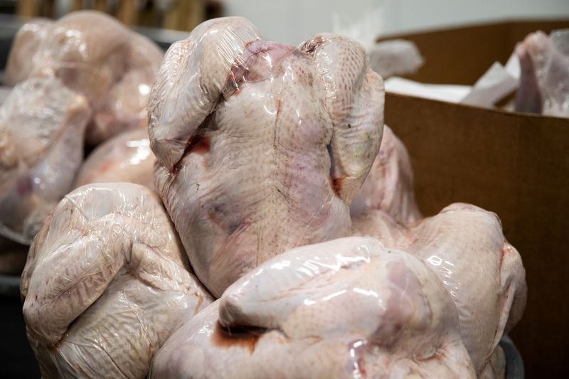&copy; Reuters. FILE PHOTO: Turkeys are distributed ahead of Thanksgiving
