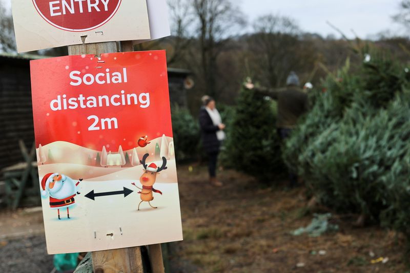 &copy; Reuters. People visit a Christmas Tree Farm in Keele, Staffordshire