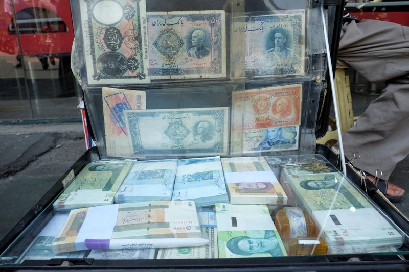 &copy; Reuters. A man displays the Iranian currency at Ferdowsi square in Tehran