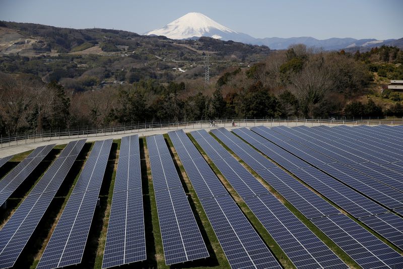 &copy; Reuters. FILE PHOTO: Solar panels are seen at a solar power facility as snow covered Mount Fuji is background in Nakai town, Japan