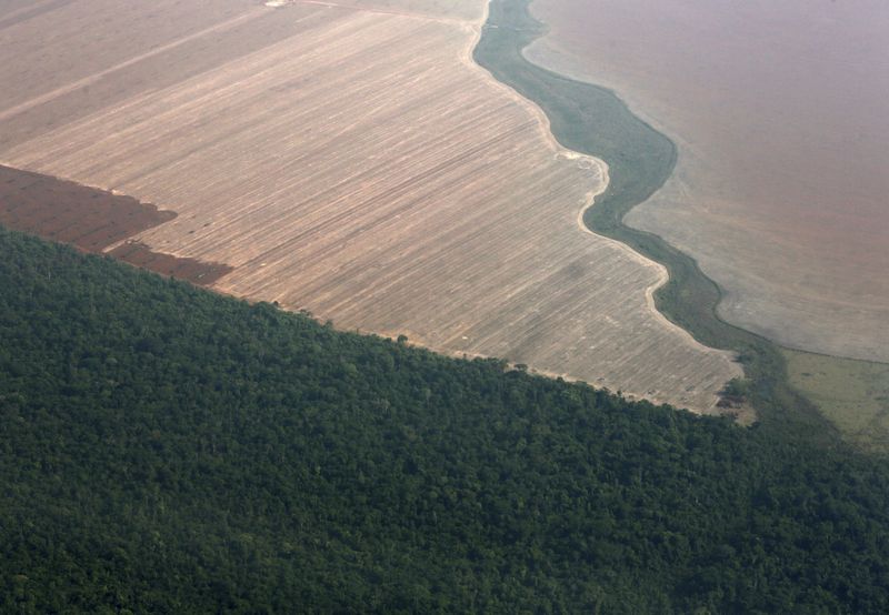 &copy; Reuters. Vista aérea de região produtora de grãos em Mato Grosso
