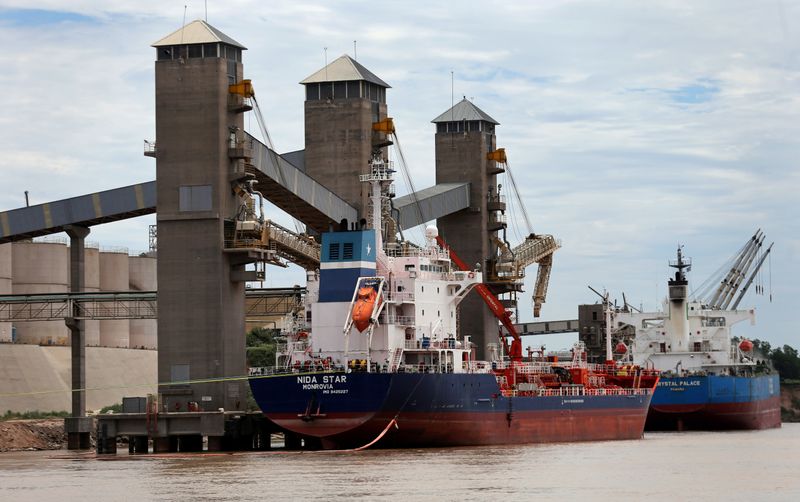 © Reuters. Navios carregados com grãos em porto na região de Rosario, Argentina