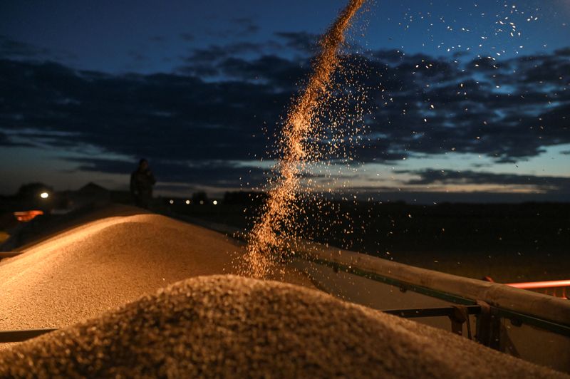 &copy; Reuters. Wheat harvest in Russia&apos;s Omsk region