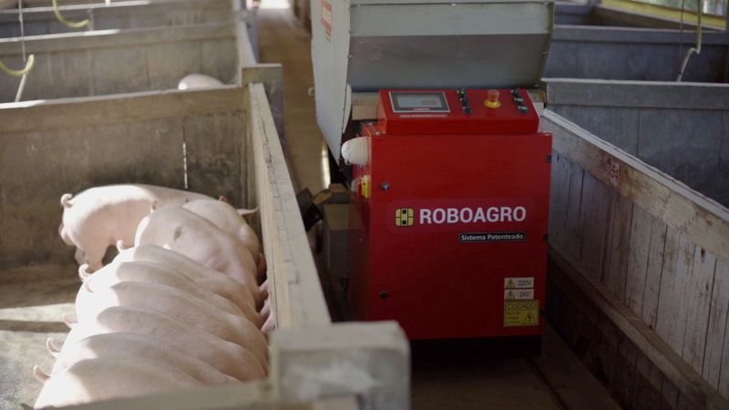 © Reuters. Robô da Roboagro alimenta porcos enquanto toca música clássica