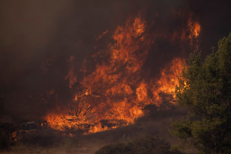 © Reuters. FILE PHOTO: A firefighting bulldozer battles the Bond Fire wildfire near Lake Irvine in Orange County, California