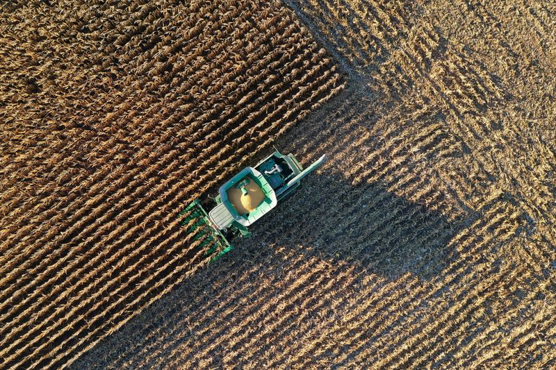 &copy; Reuters. FILE PHOTO: Trump&apos;s payments to farmers hit all-time high ahead of election