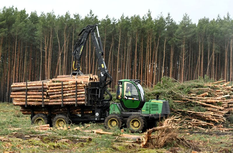 © Reuters. FILE PHOTO: A worker clears trees at the area where U.S. electric vehicle pioneer Tesla plans to build a Gigafactory in Gruenheide