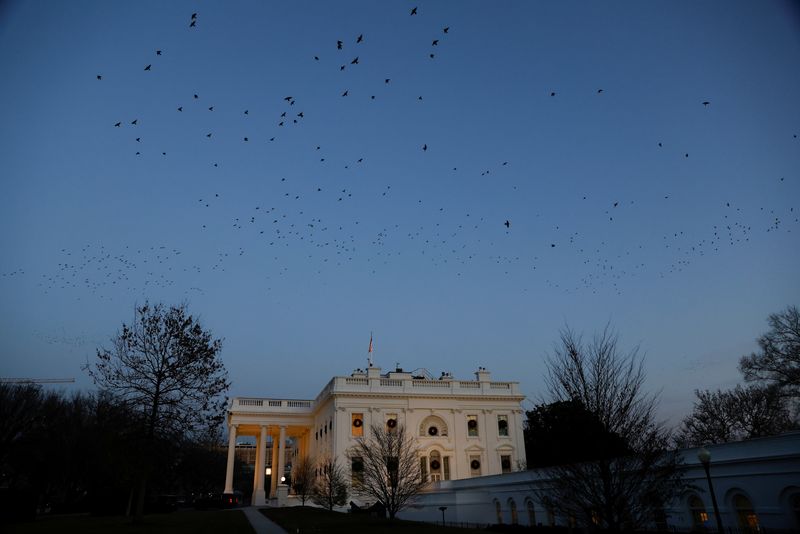 © Reuters. Birds fly over the White House at dusk in Washington