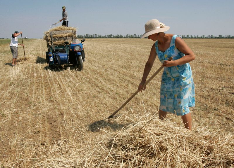 &copy; Reuters. To match feature UKRAINE-DROUGHT/