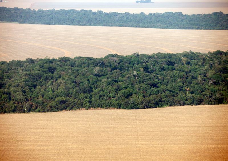 © Reuters. Visão aérea de plantações de soja em região de floresta Amazônica em Mato Grosso