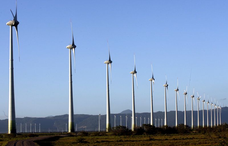 © Reuters. Parque de energia eólica em Osório (RS)