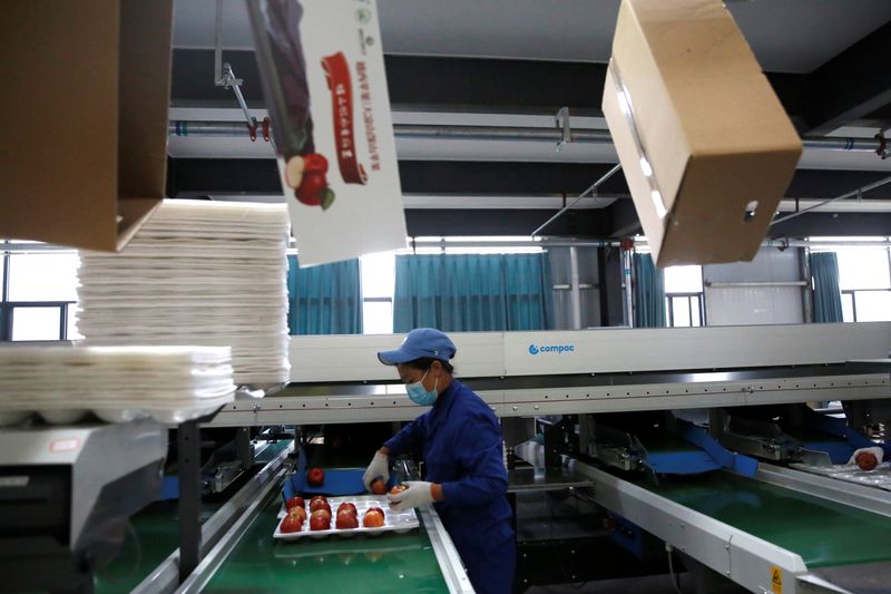 &copy; Reuters. Linha de produção de embalagem de maçãs no Darui Apple Industry Park em Yuexi, China