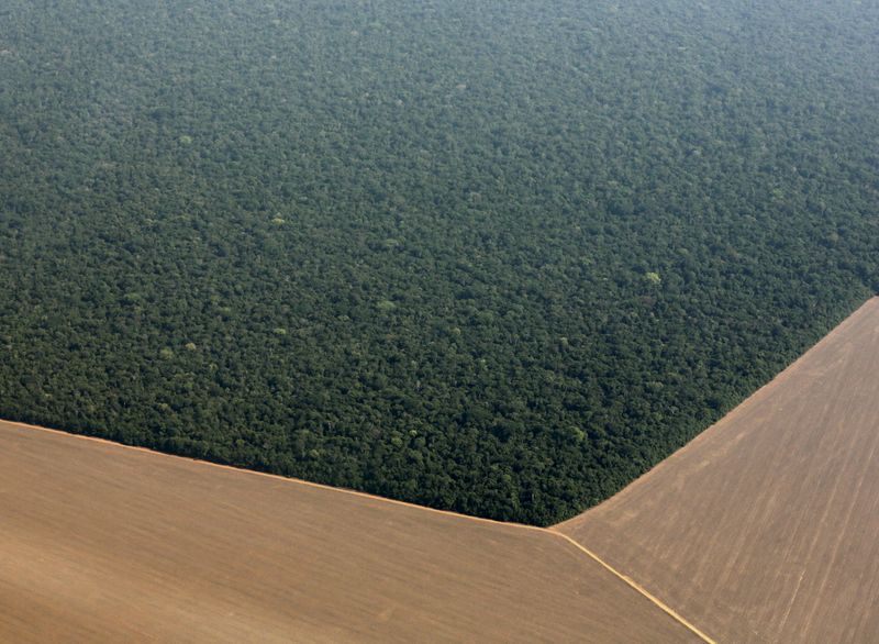 &copy; Reuters. An aerial view shows the Amazon rainforest bordered by land cleared to prepare for the planting of soybeans, in Mato Grosso