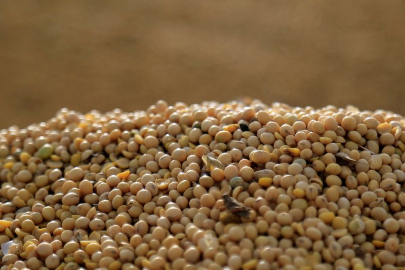 &copy; Reuters. Soybeans are pictured after being loaded on a truck at a farm in Caaguazu