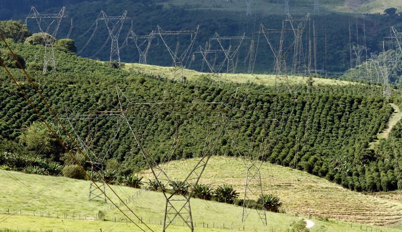 &copy; Reuters. Área de cultivo de café em Santo Antônio do Jardim (SP), cruzada por linhas de transmissão de energia