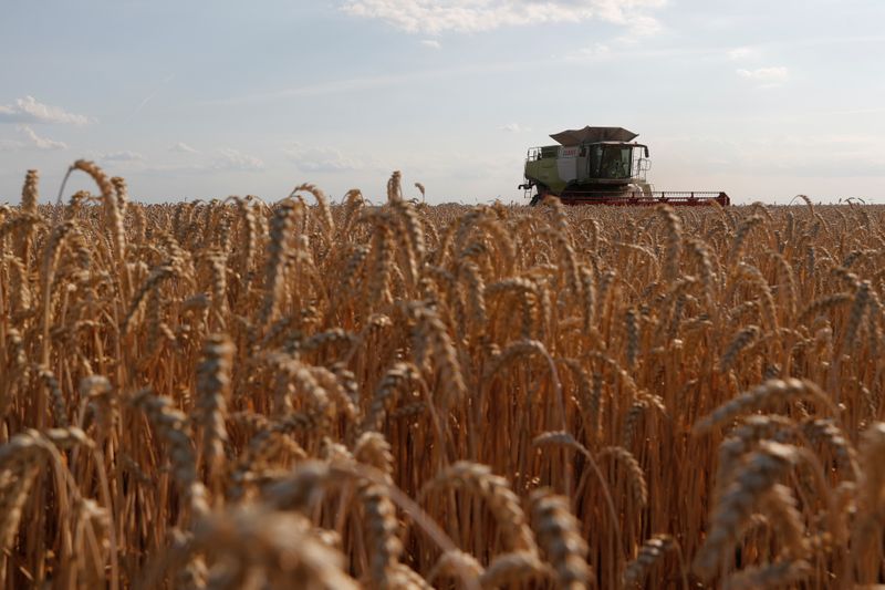 &copy; Reuters. A combine harvests wheat in a field in Kyiv region