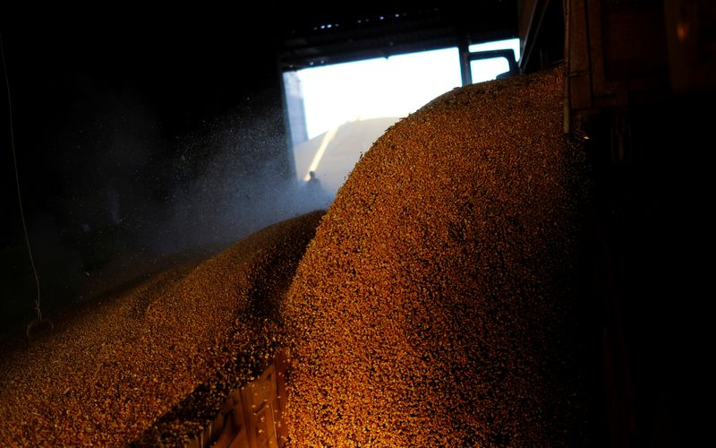 &copy; Reuters. Caminhão descarrega milho perto de Sorriso, em Mato Grosso