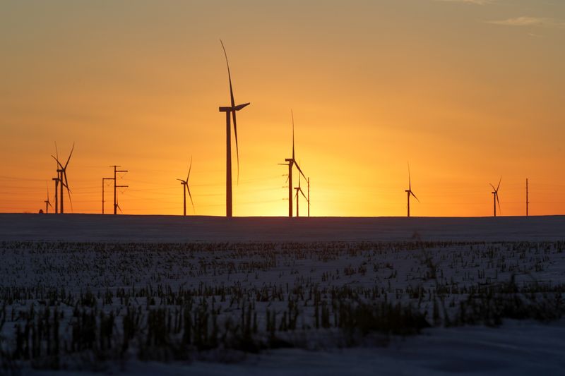 © Reuters. A wind farm shares space with corn fields the day before the Iowa caucuses, where agriculture and clean energy are key issues, in Latimer, Iowa