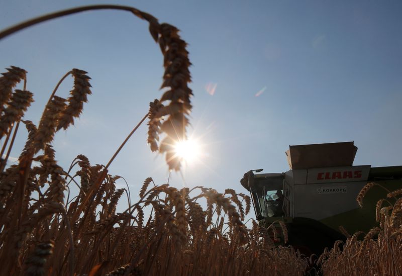 &copy; Reuters. A combine harvests wheat in a field in Kyiv region