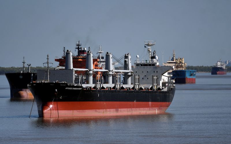 &copy; Reuters. Navios na região de Santa Fe, na Argentina, durante greve de trabalhadores portuários