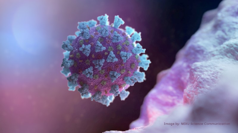 &copy; Reuters. Ilustração em 3D representando o novo coronavírus