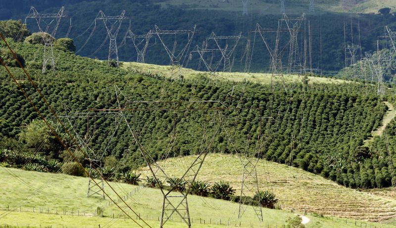 © Reuters. Linhas de transmissão de energia em meio a áreas de produção agrícola em Santo Antônio do Jardim (SP)
