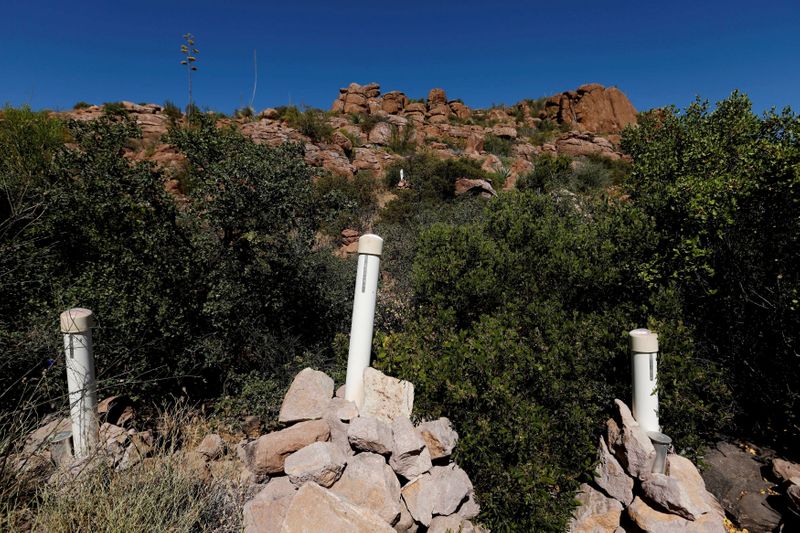 &copy; Reuters. FILE PHOTO: FILE PHOTO: Stakes mark a mining claim in the Oak Flats area near Superior, Arizona