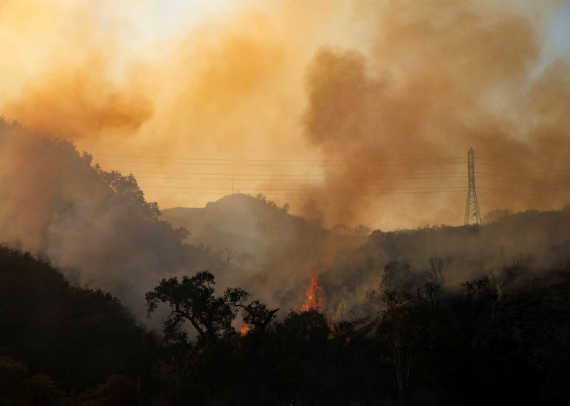 &copy; Reuters. The Bond Fire wildfire continues to burn next to electrical power lines near Modjeska Canyon, California