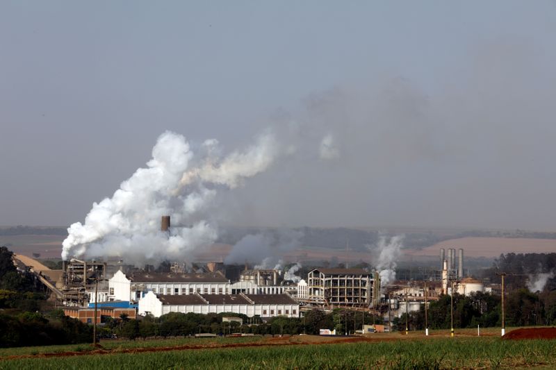 © Reuters. Usina de processamento de cana-de-açúcar em Pradópolis (SP)