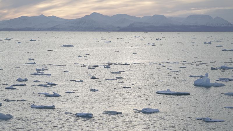 &copy; Reuters. FILE PHOTO: A view across Yoldiabukta Bay towards Spitsbergen island in Norway