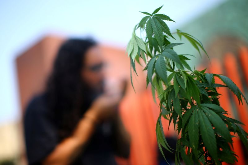 &copy; Reuters. Folhas de maconha são retratadas enquanto pessoas protestam contra o projeto de legalização da maconha aprovado pelo Senado do México como um caminho para um mercado que beneficiaria grandes empresas, fora do prédio do Congresso na Cidade do México,