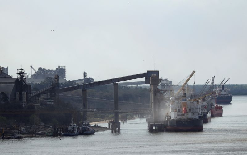 © Reuters. Navios carregados com grãos em porto na região de Rosario, Argentina
