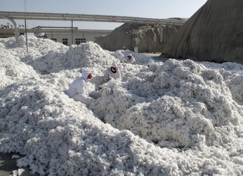 © Reuters. Workers look for trash in newly harvested cotton at a processing plant in Aksu