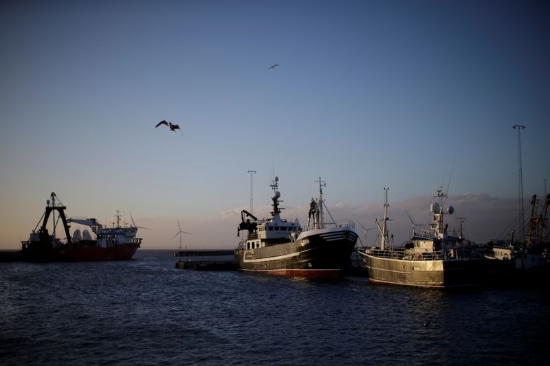 &copy; Reuters. FILE PHOTO: Fishing ships are seen docked at sunrise in the village of Thyboron in Jutland, Denmark