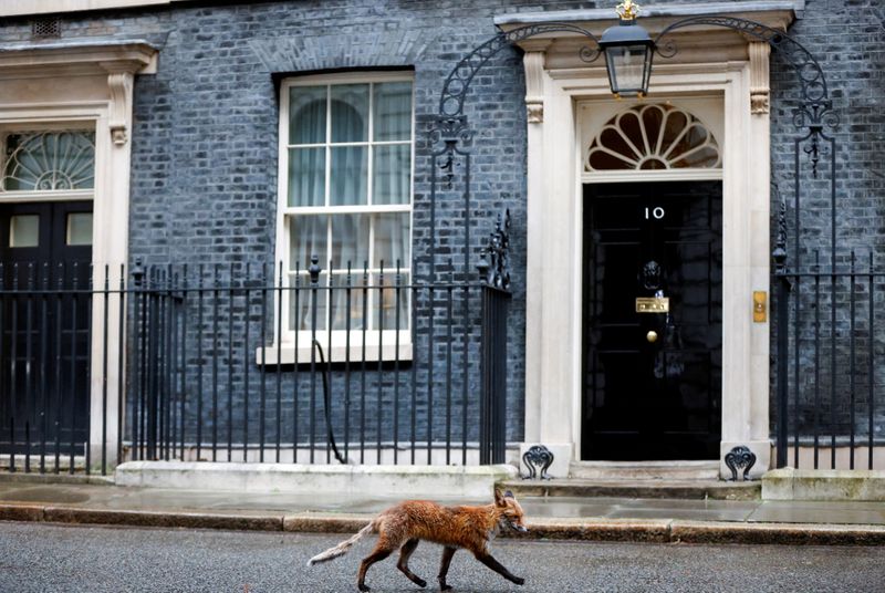 &copy; Reuters. Fox walks outside Downing Street in London