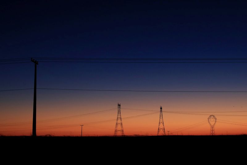 © Reuters. Linhas de energia no Brasil; desestatização da CEEE-D estava antes prevista para 3 de fevereiro