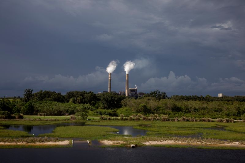 © Reuters. FILE PHOTO: Steam rises out of chimneys at the Big Bend Power Station owned and operated by Tech Energy in Apollo Beach, Florida
