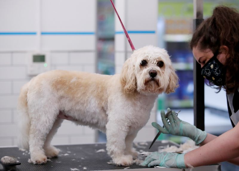 Pets At Home backs annual profit forecast as sales jump on higher pet care demand