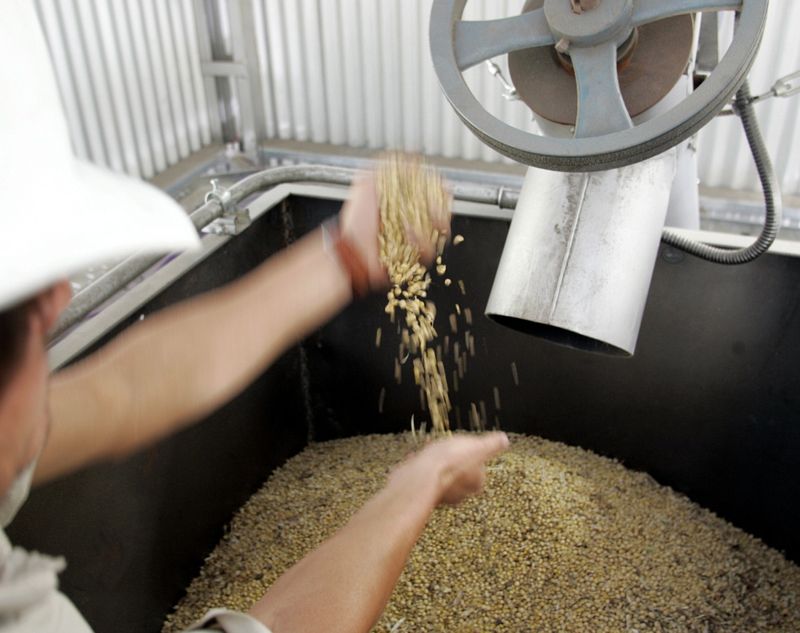 © Reuters. Processamento de soja em Chacabuco, Argentina