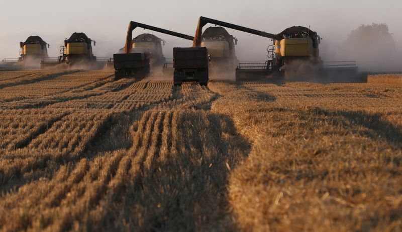 &copy; Reuters. Combine harvesters work on wheat field of Solgonskoye farming company near village of Talniki